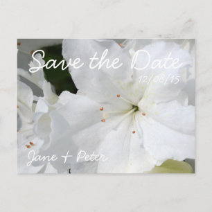 Azaleas Floral Wedding Save the Date Postcard 4
