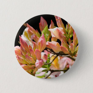 AZALEAS FLOWERS Summer 9 Azaleas Cards Gifts Mugs 6 Cm Round Badge