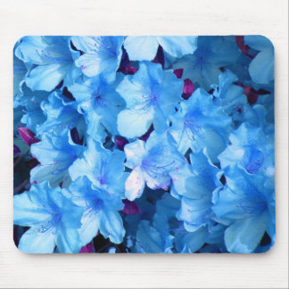 Azaleas in Blue Mouse Mat
