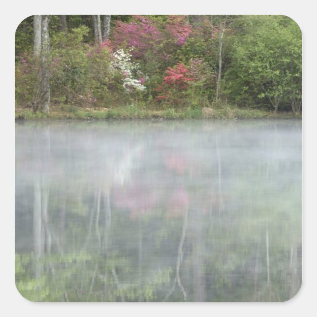 Azaleas relfecting in a pond during early square sticker (Front)