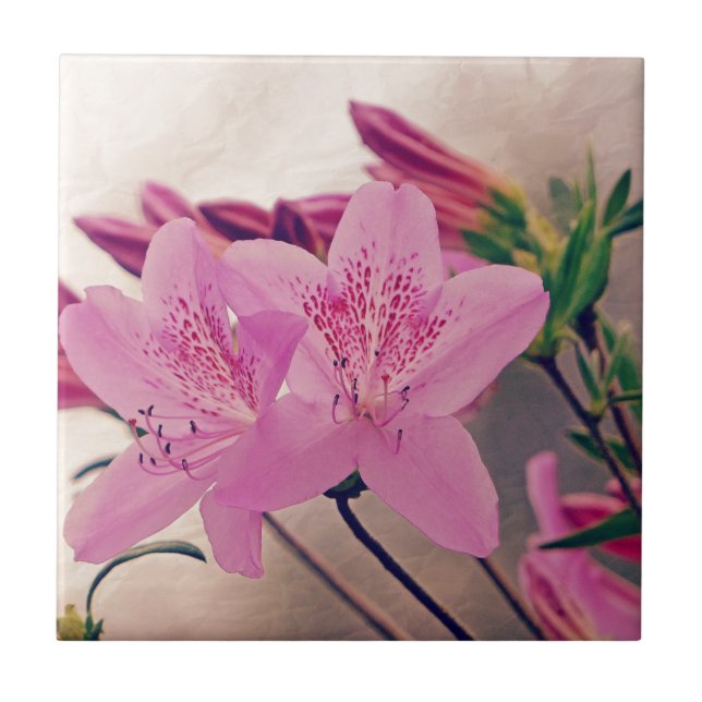 Azaleas Tile (Front)