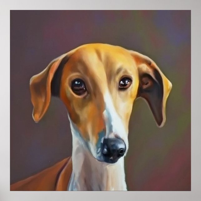 Azawakh - Dog Portrait Poster (Front)