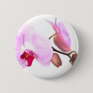 Aziza Orchid Blossoms 6 Cm Round Badge