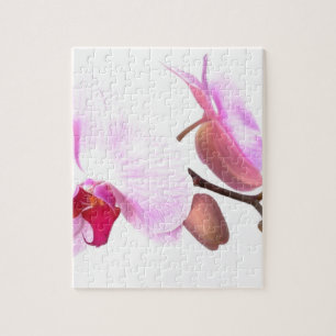 Aziza Orchid Blossoms Jigsaw Puzzle
