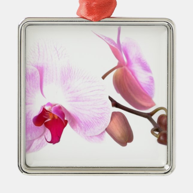 Aziza Orchid Blossoms Metal Tree Decoration (Front)
