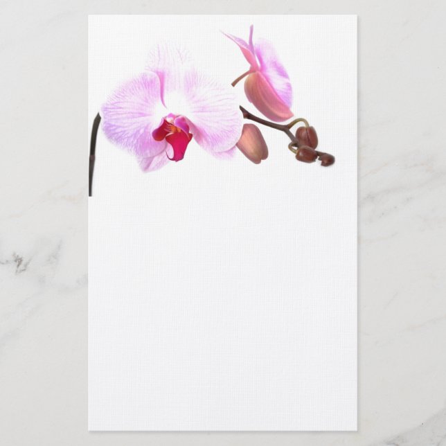 Aziza Orchid Blossoms Stationery (Front)