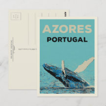 Azores humpback whale illustration Portugal