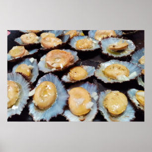 Azores "lapas" limpets poster