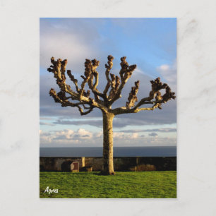 Azores Postcard-Ermida da mae de Deus Postcard