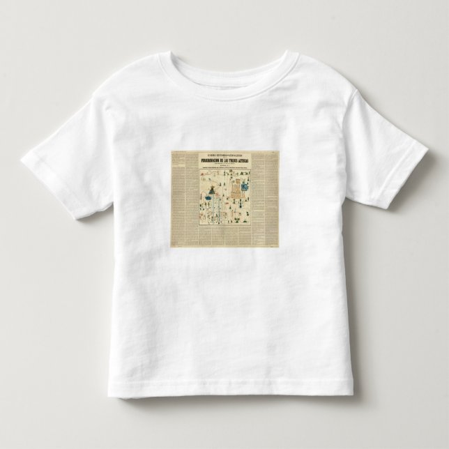 Aztec Mexico Valley 2 Toddler T-Shirt (Front)