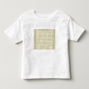 Aztec Mexico Valley Toddler T-Shirt