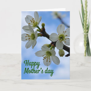 Azure Blossom Mothers Day Card