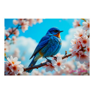 Azure Blue Bird on Cherry Blossom Branch Poster