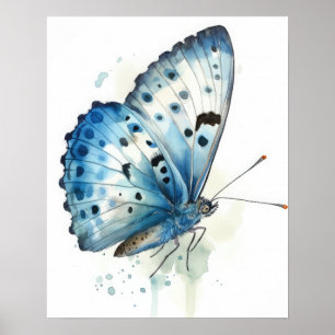 Azure Butterfly Art Print Poster