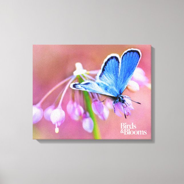 Azure Butterfly Canvas Print (Front)