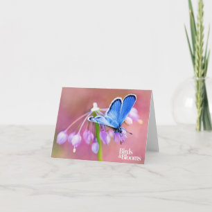 Azure Butterfly Card