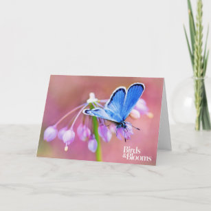 Azure Butterfly Card
