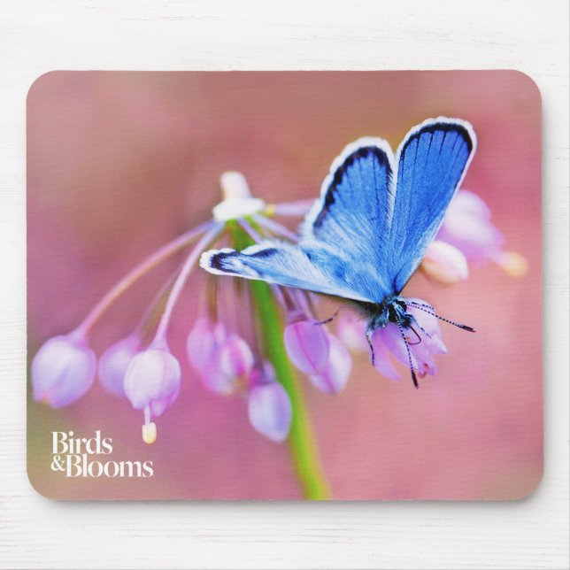 Azure Butterfly Mouse Mat (Front)