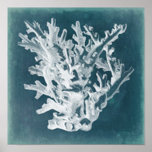 Azure Coral I Poster