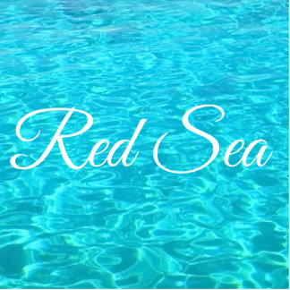 Azure lagoon in Red sea Standing Photo Sculpture