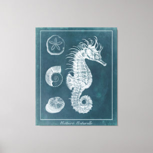 Azure Seahorse Study I Canvas Print