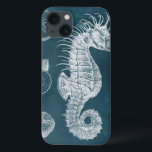 Azure Seahorse Study I iPhone 13 Case<br><div class="desc">Marine Life</div>