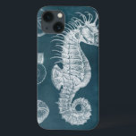 Azure Seahorse Study I iPhone 13 Case<br><div class="desc">Marine Life</div>