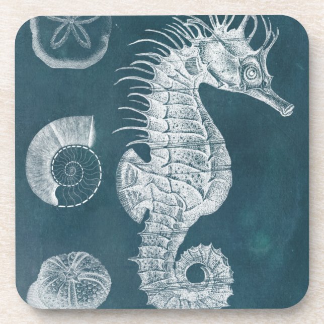 Azure Seahorse Study I Coaster (Front)