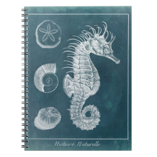 Azure Seahorse Study I Notebook