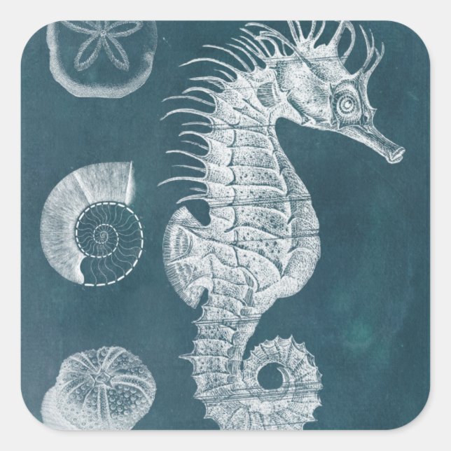 Azure Seahorse Study I Square Sticker (Front)