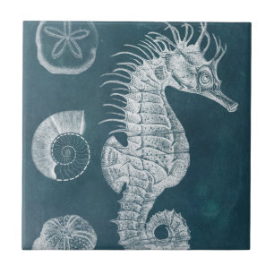 Azure Seahorse Study I Tile