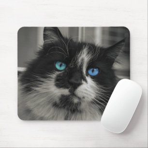 Azure Soul Black Cat Blue Eyes Mouse Pad
