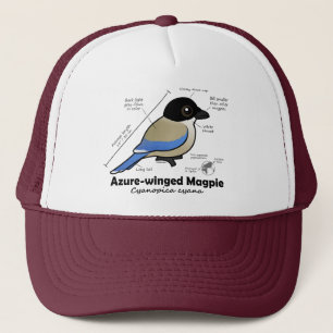 Azure-winged Magpie Statistics Trucker Hat