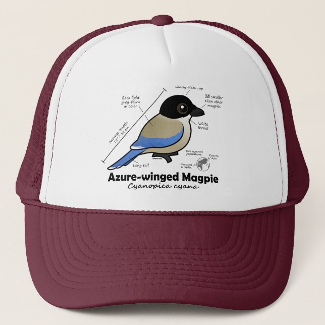 Azure-winged Magpie Statistics Trucker Hat (Front)