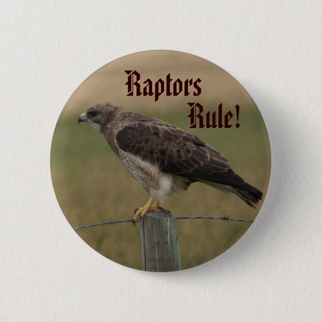 B10 Swainson's Hawk 6 Cm Round Badge (Front)