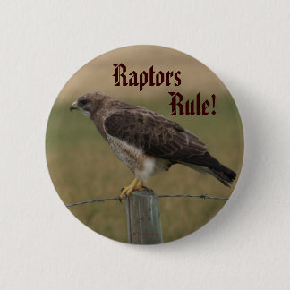 B10 Swainson's Hawk 6 Cm Round Badge