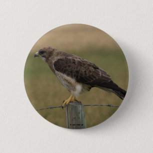 B10 Swainson's Hawk 6 Cm Round Badge