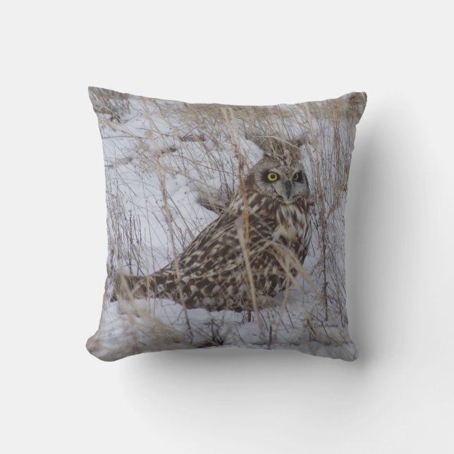 B11 Short Eared Owl Cushion (Front)