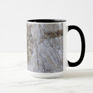 B11 Short-eared Owl in the Snow Mug
