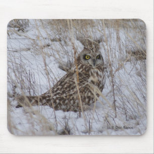 B11 Short-eared Owl Mouse Mat