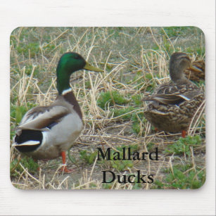 B12 Mallard Ducks Mouse Mat