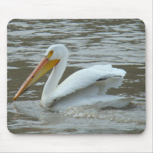 B14 American White Pelican Mouse Mat