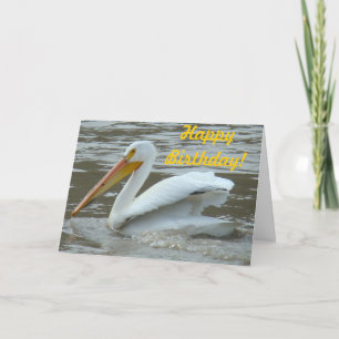 B14 White Pelican on Muddy River Card