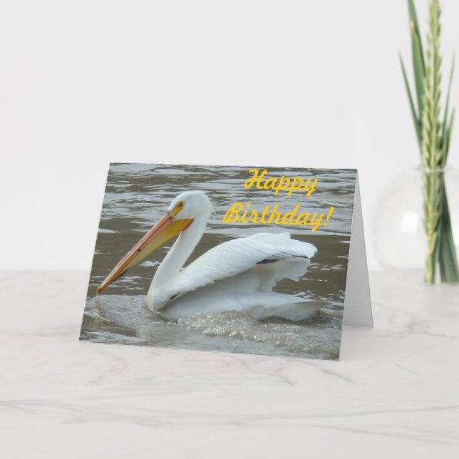 B14 White Pelican on Muddy River Card (Front)