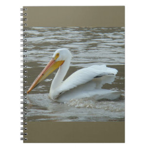 B14 White Pelican on Muddy River Notebook
