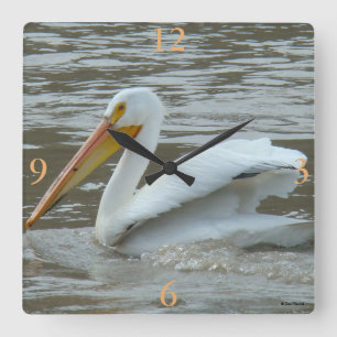 B14 White Pelican on Muddy River Square Wall Clock