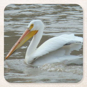 B14 White Pelican Square Paper Coaster
