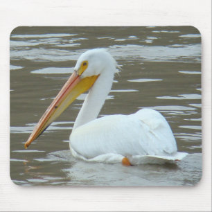 B15 American White Pelican Mouse Mat