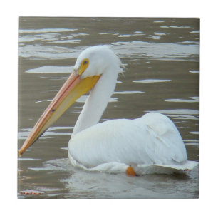 B15 White Pelican on Muddy Water Tile
