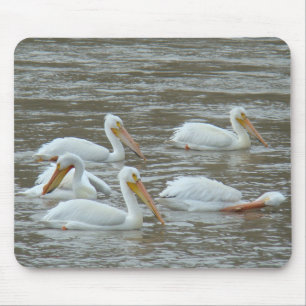 B16 American White Pelicans Mouse Mat